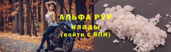 дживик Балахна