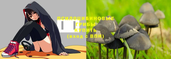 а пвп мука Аркадак