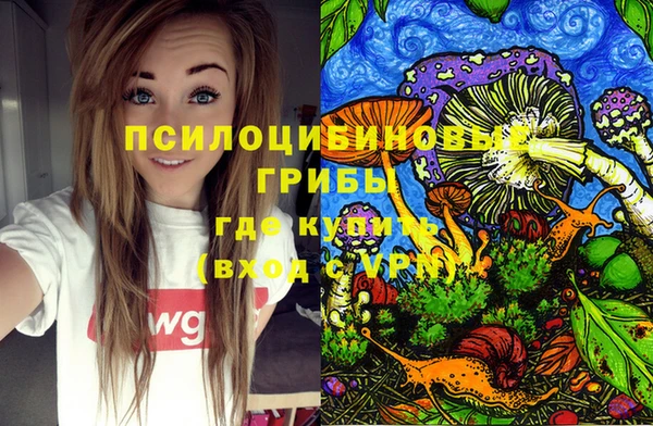 а пвп мука Аркадак